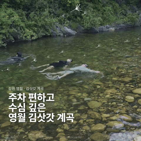영월 김삿갓 계곡 주차 편하고 수심 깊은 계곡 사진 1