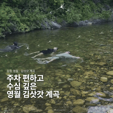영월 김삿갓 계곡 주차 편하고 수심 깊은 계곡