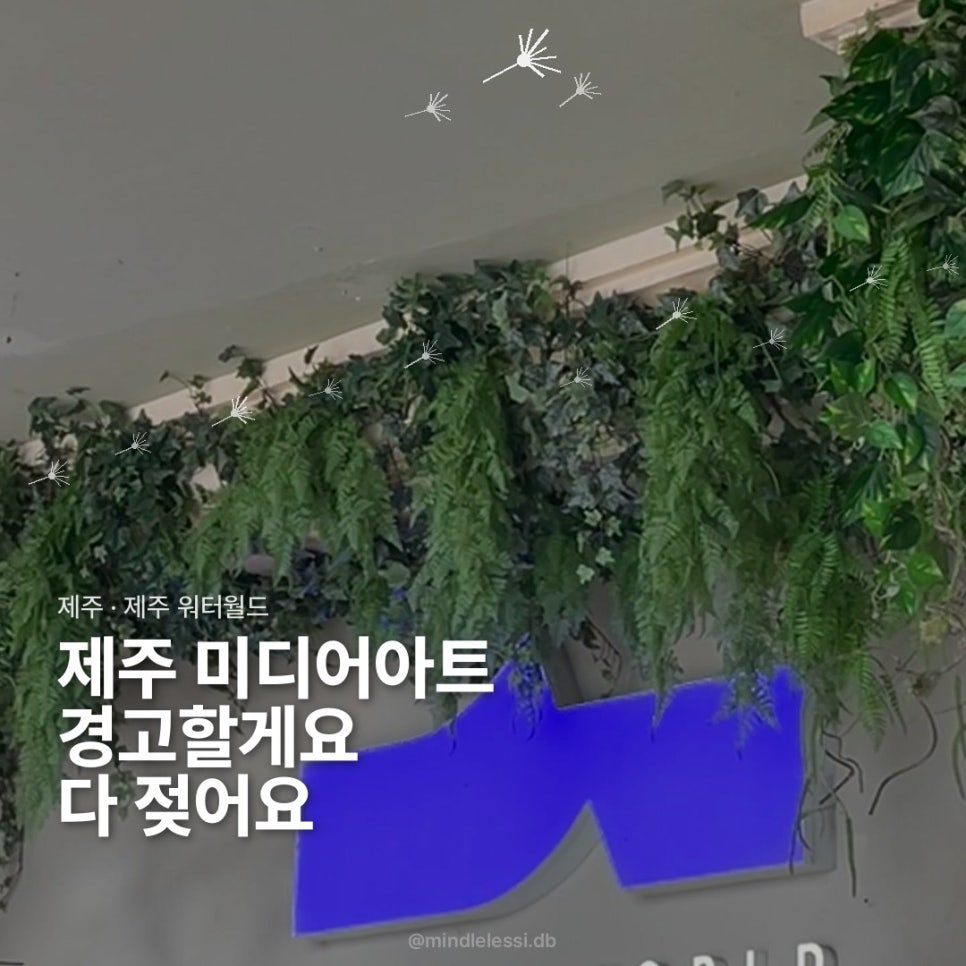 제주 워터월드 여름 실내 전시 무릎까지 젖음 이색 미디어아트 전시 사진 1