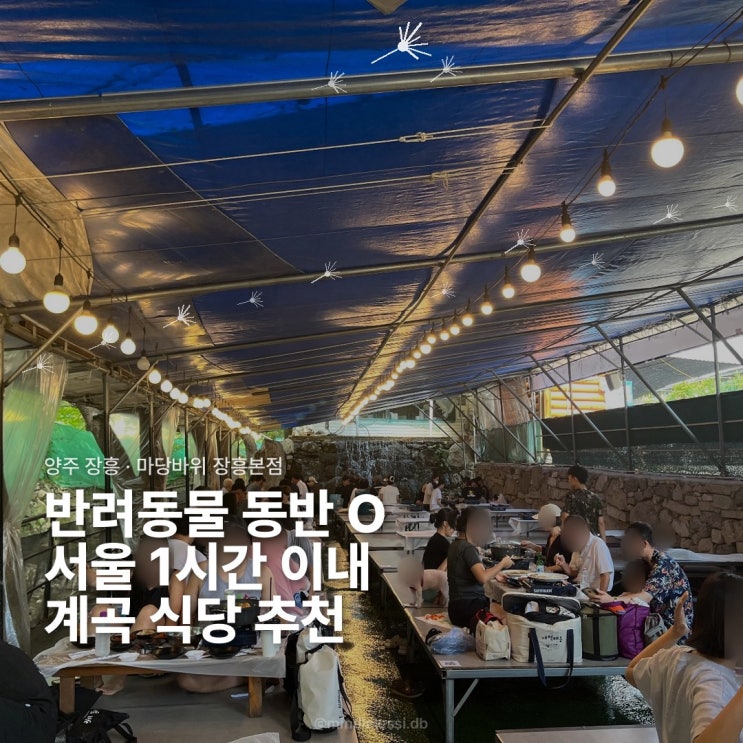 양주 장흥 맛집 마당바위 장흥본점으로 계곡 피서 다녀온 솔직후기 / 수심 얕아요