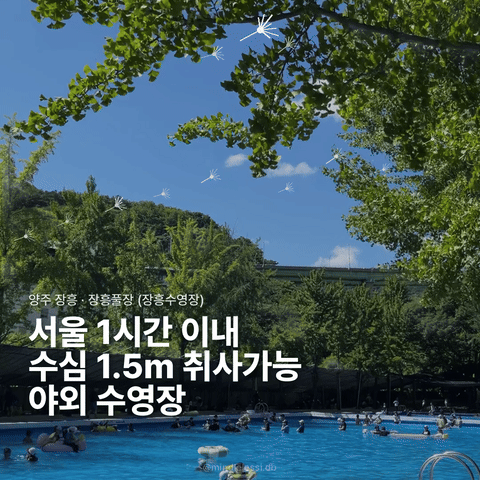 양주 장흥 야외수영장 장흥풀장 | 동남아 감성 근교 물놀이 | 취사가능 사진 3