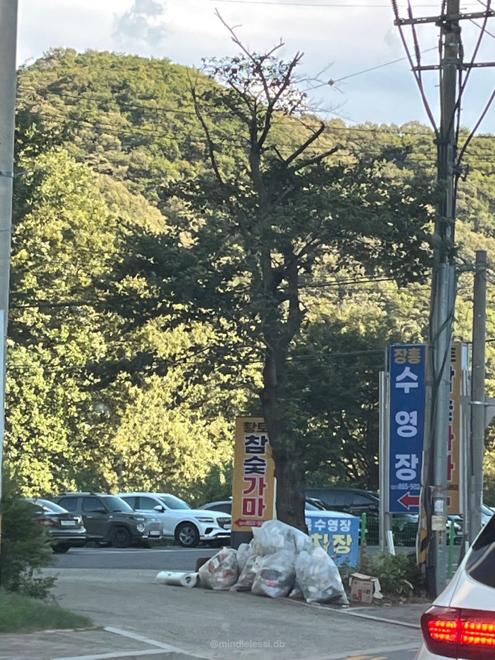 양주 장흥 야외수영장 장흥풀장 | 동남아 감성 근교 물놀이 | 취사가능 사진 7