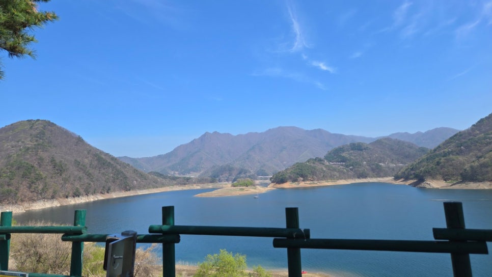 충주 캠핑 캠핑808 충주호 파노라마 뷰 캠핑장 후기 사진 3