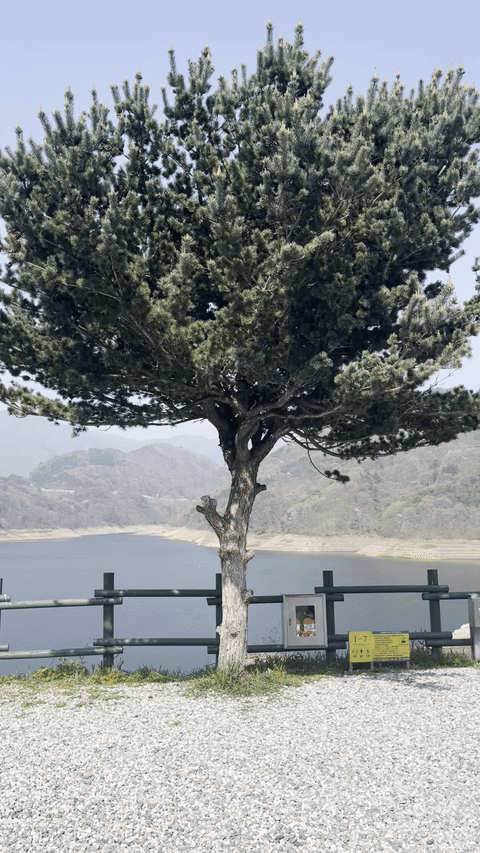 충주 캠핑 캠핑808 충주호 파노라마 뷰 캠핑장 후기 사진 7