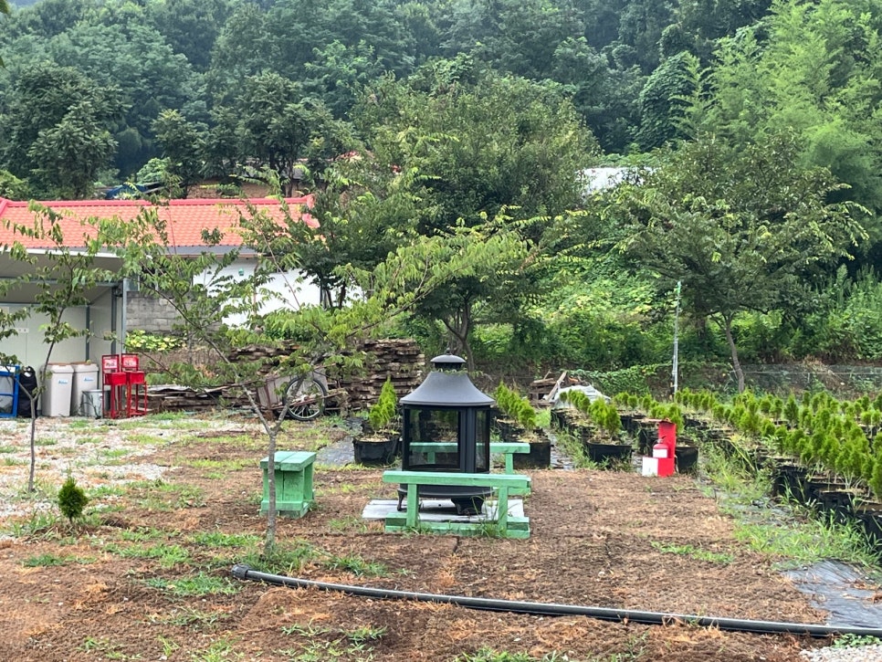 충북 옥천 프라이빗 캠핑장 에메랄드힐링캠핑관광농원 / 개별 화장실 샤워실 사진 34
