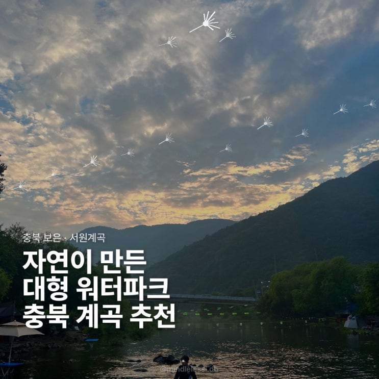 충북 보은 서원계곡 워터파크급 넓이 / 얕은 수심부터 깊은 수심까지 / 가족 물놀이 추천 계곡