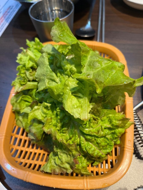 보은 맛집 청년고기장수 무한리필 삼겹살 18,500원 가성비 후기 사진 13