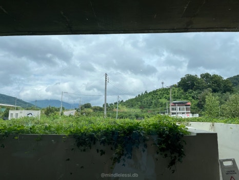 충북 보은 북카페 솔담도랑 | 통창 북카페 | 네이버 지도 카페로 치면 사진 19