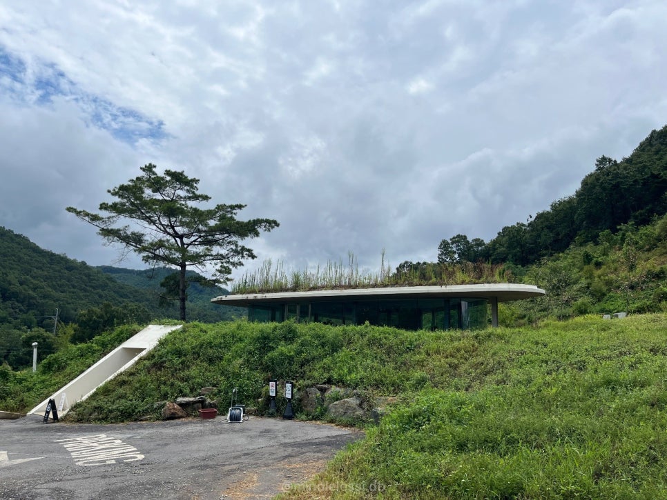 충북 보은 북카페 솔담도랑 | 통창 북카페 | 네이버 지도 카페로 치면 사진 5