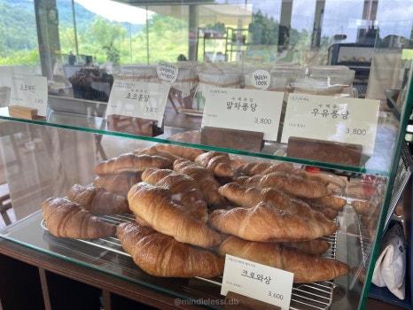충북 보은 북카페 솔담도랑 | 통창 북카페 | 네이버 지도 카페로 치면 사진 24