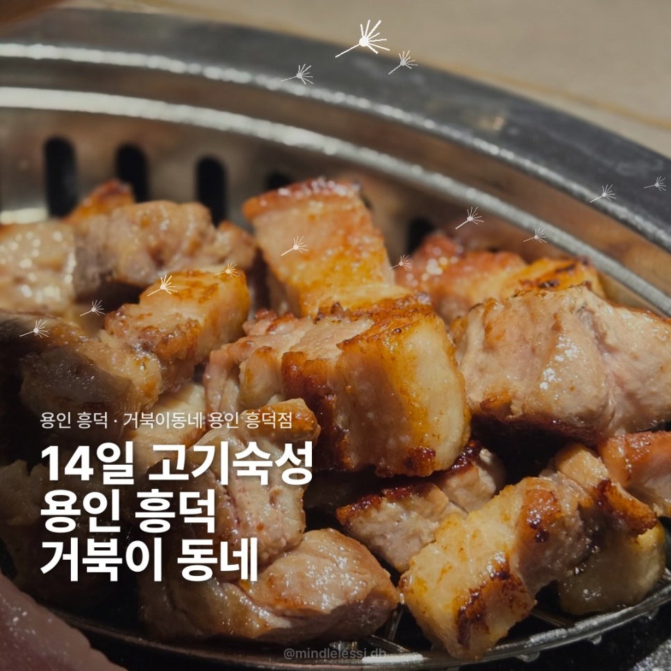 용인 흥덕 맛집 거북이동네 / 물막국수 강추 / 가족 식사로 딱인 넓은 사진 2