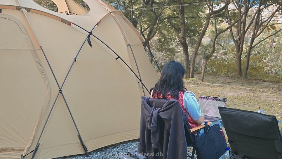 캠핑 텐트 헥토르 내돈내산 후기 | 폴대는 많지만 텐풍은 남는다 🏕️😭 사진 12