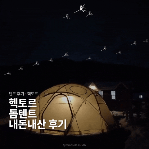 캠핑 텐트 헥토르 내돈내산 후기 | 폴대는 많지만 텐풍은 남는다 🏕️😭
