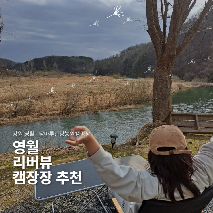영월 캠핑 당마루관광농원캠핑장 | 리버뷰 강뷰 잔디사이트