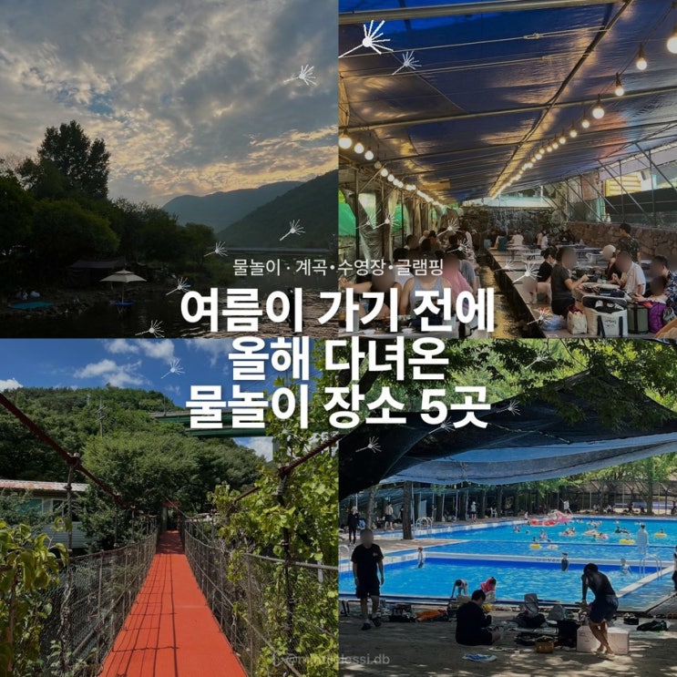 올 여름 다녀온 물놀이 장소 5곳 총정리 :: 계곡 야외 수영장 글램핑