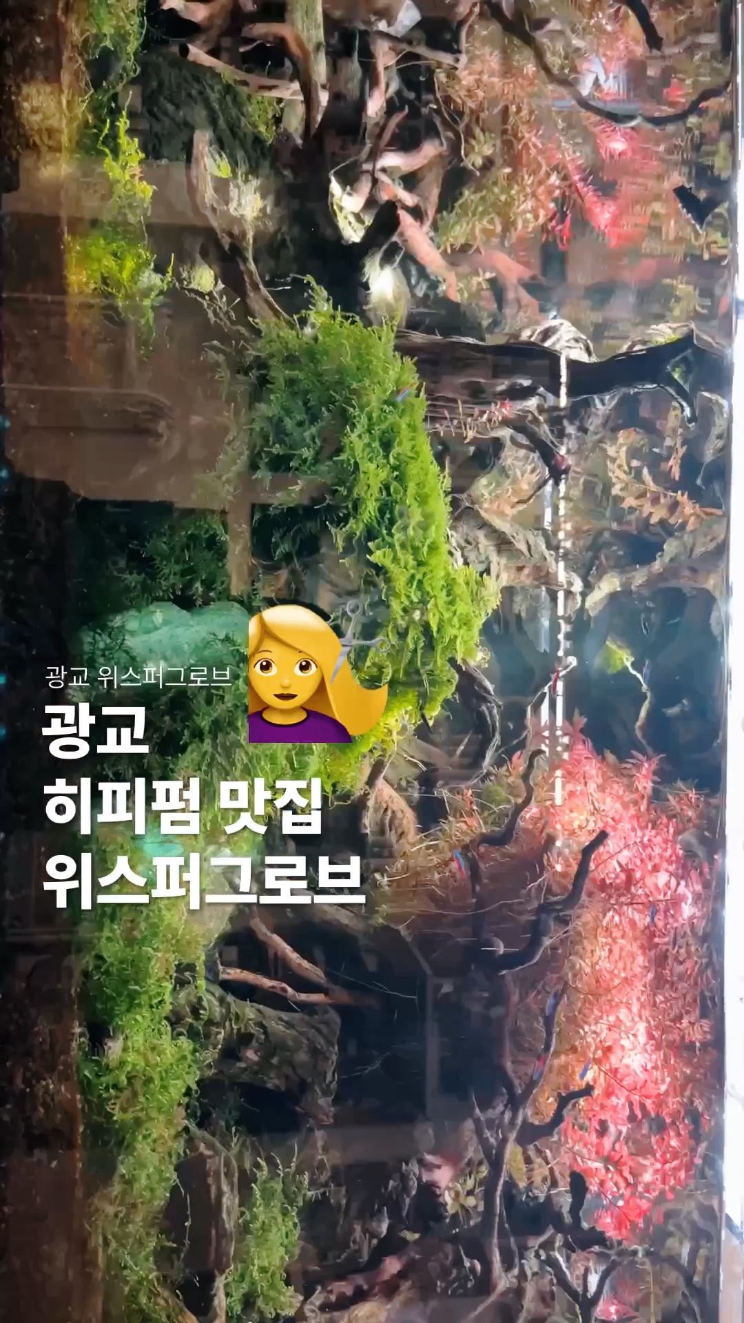 광교 미용실 위스퍼그로브 :: 히피펌 빈티지펌 잘하는 곳 사진 2