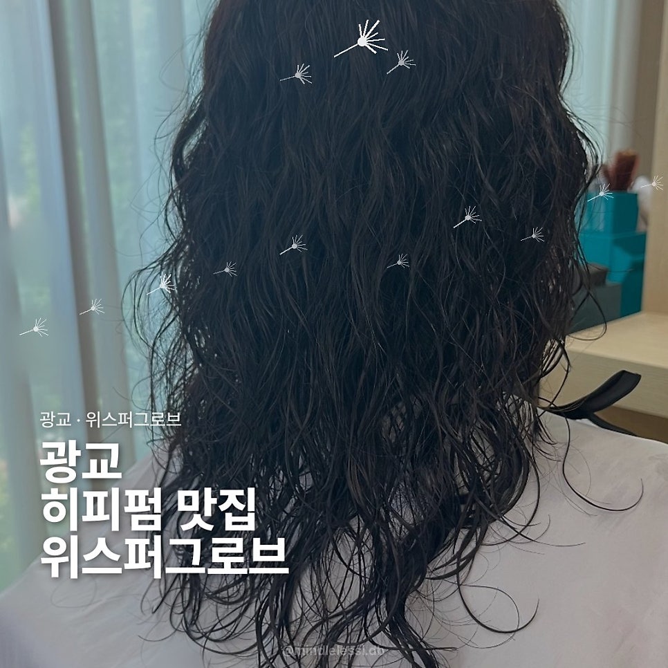 광교 미용실 위스퍼그로브 :: 히피펌 빈티지펌 잘하는 곳 사진 1