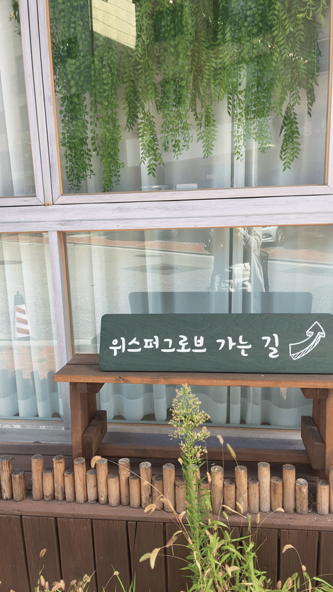 광교 미용실 위스퍼그로브 :: 히피펌 빈티지펌 잘하는 곳 사진 3