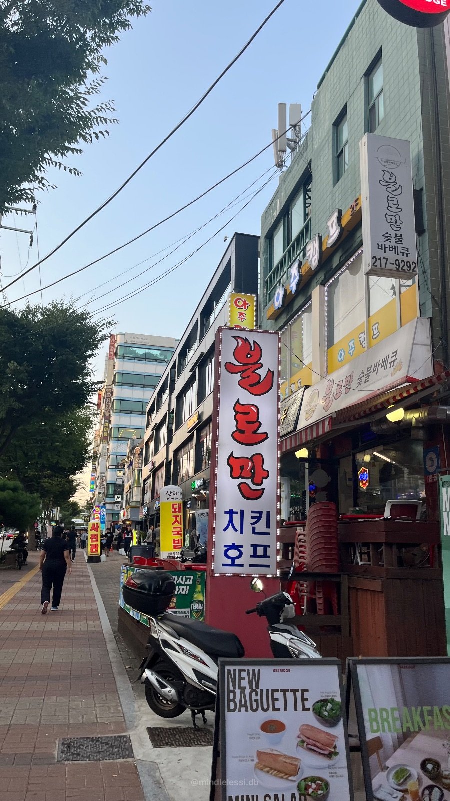 수원 아주대 맛집 불로만치킨바베큐 아주점 순살 숯불 바베큐 내돈내산 후기 사진 4