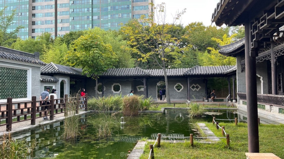밤 10시까지 여는 무료 중국 정원 | 수원 월화원 | 효원공원 서편 | 사진 12