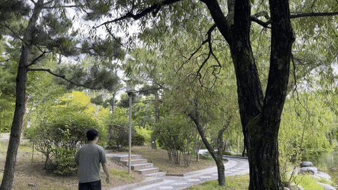 밤 10시까지 여는 무료 중국 정원 | 수원 월화원 | 효원공원 서편 | 사진 11