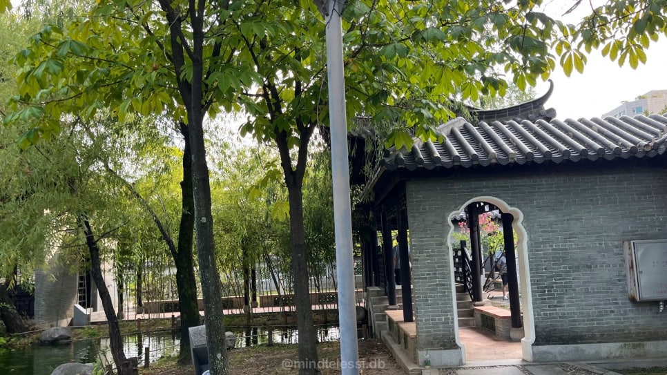 밤 10시까지 여는 무료 중국 정원 | 수원 월화원 | 효원공원 서편 | 사진 14