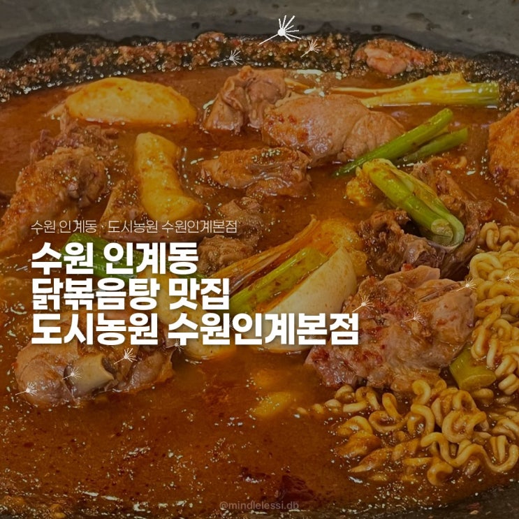 수원 인계동 닭볶음탕 맛집 도시농원 수원인계본점 | 내돈내산 존맛 후기 | 수원시청역 근처 점심 맛집