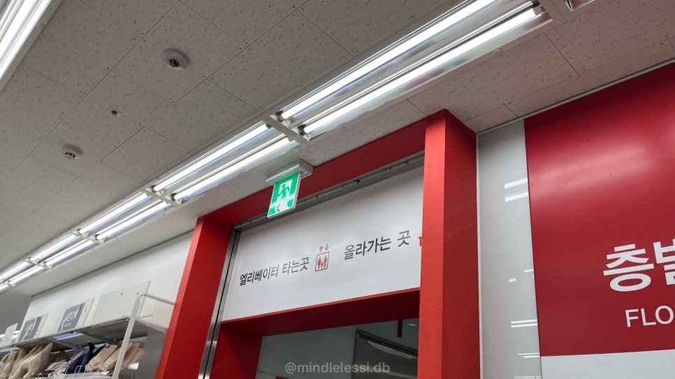 수원 가볼만한곳 다이소 수원남문점 | 5층 통째로 쓰는 수원화성 옆 최대 사진 8