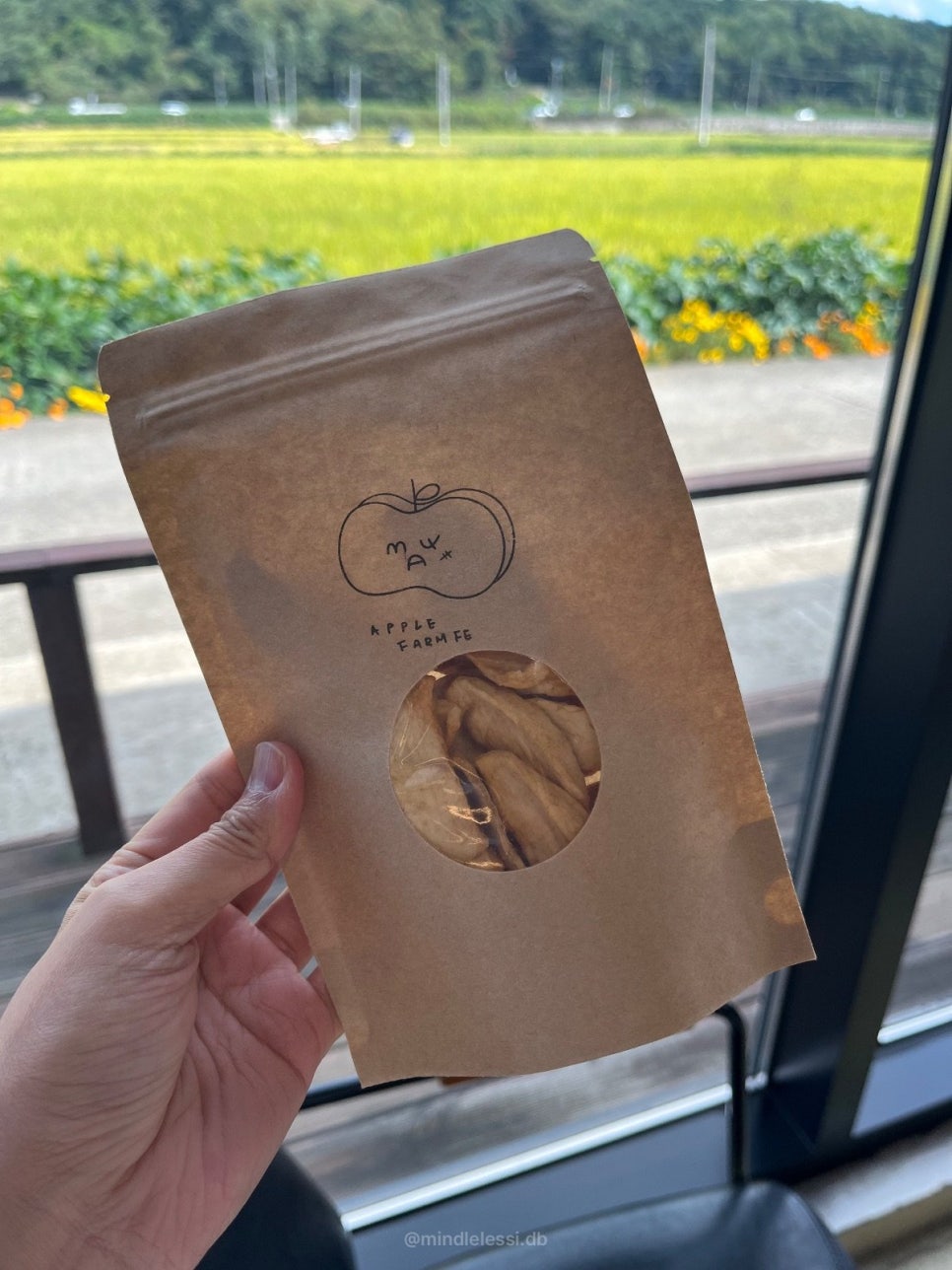 연천 맛집 카페 애플팜페 사과농장 체험 가능 팜페주스는 꼭 드세요! 사진 51