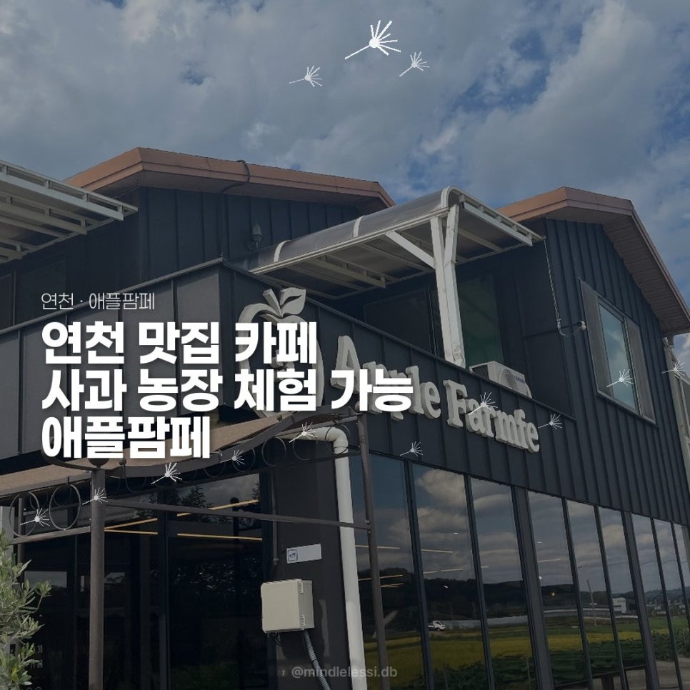 연천 맛집 카페 애플팜페 사과농장 체험 가능 팜페주스는 꼭 드세요! 사진 55
