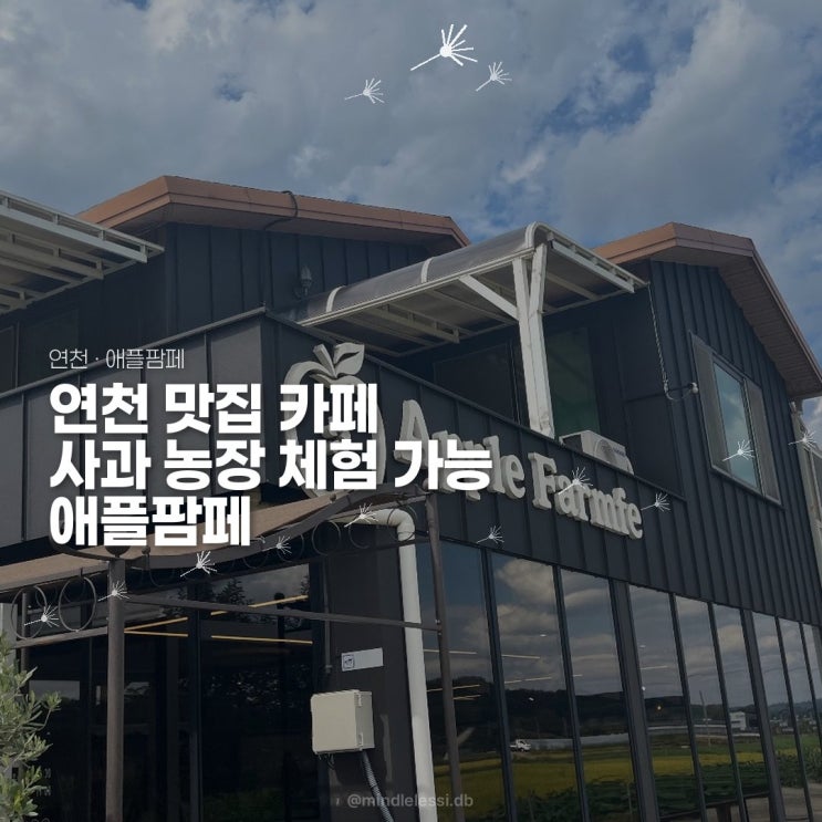 연천 맛집 카페 애플팜페 사과농장 체험 가능 팜페주스는 꼭 드세요!