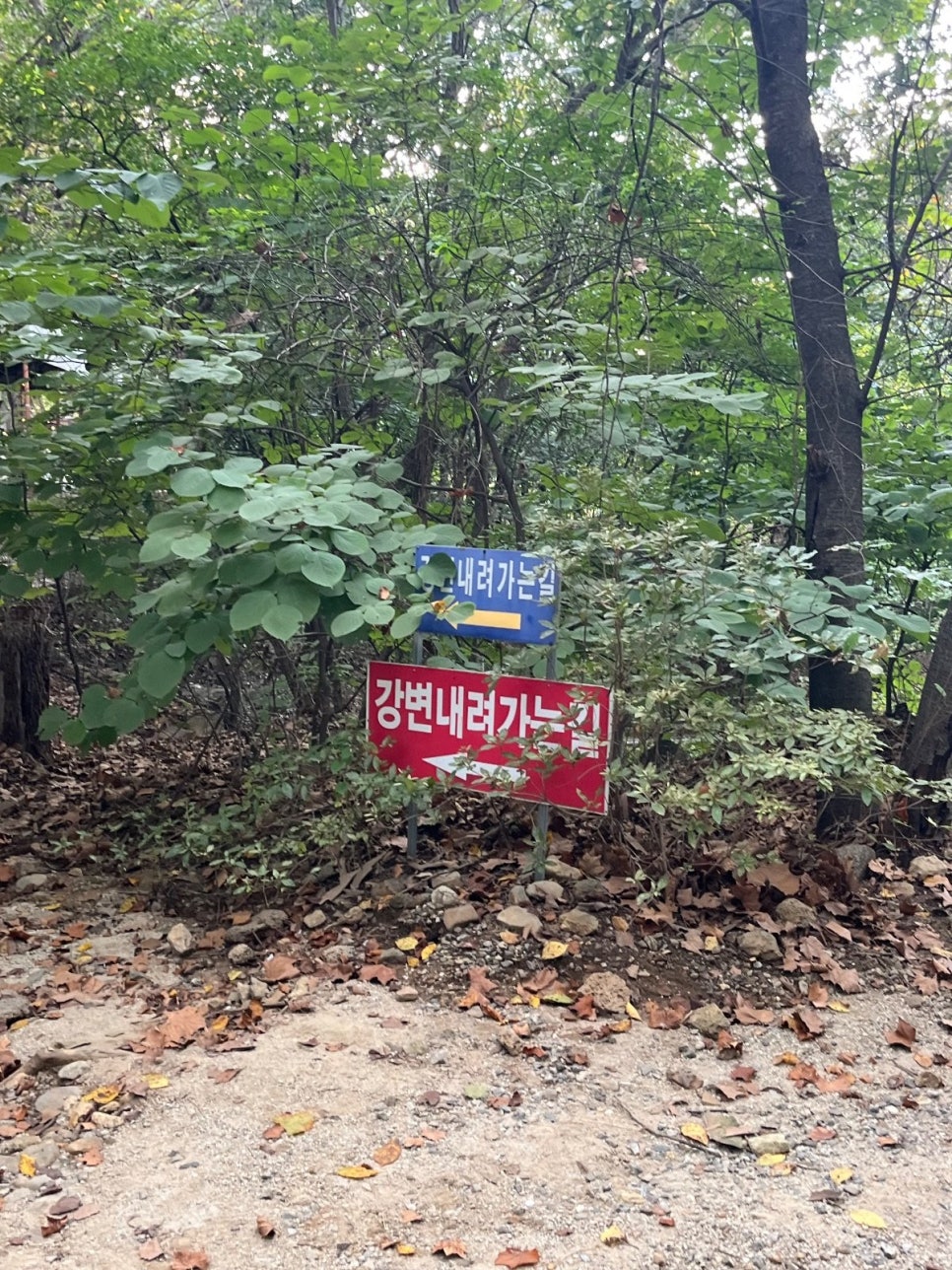 연천 캠핑장 평화강변수목캠핑장 H25 사이트 선착순 사이트 사진 48