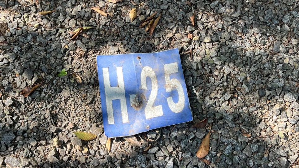 연천 캠핑장 평화강변수목캠핑장 H25 사이트 선착순 사이트 사진 14