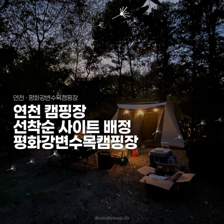 연천 캠핑장 평화강변수목캠핑장 H25 사이트 선착순 사이트