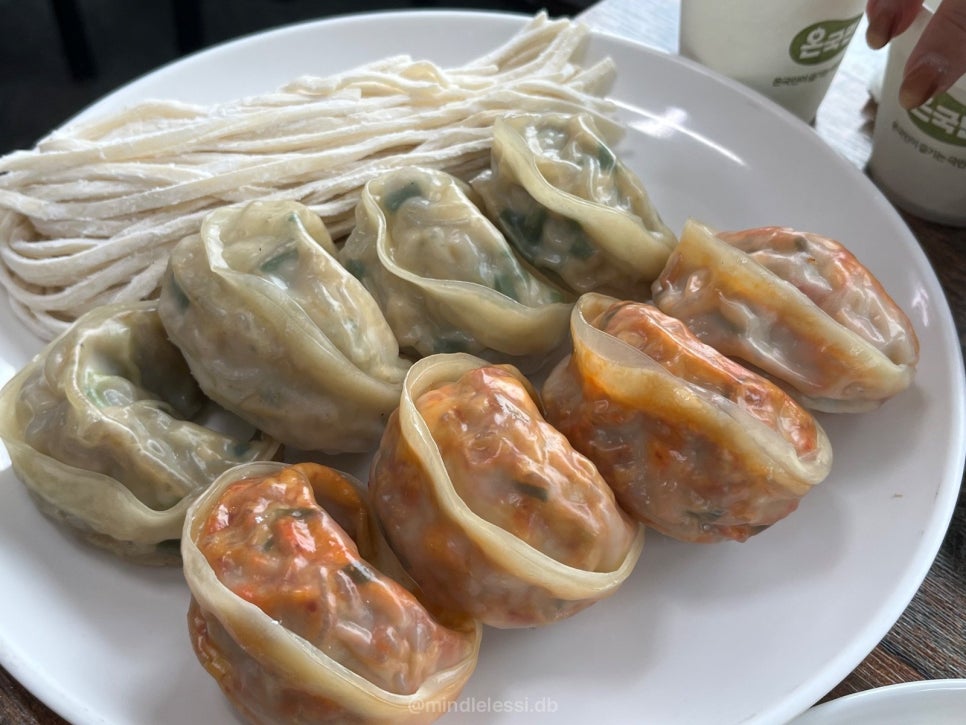 연천 맛집 옥희네 개성손만두 반반 만두전골 11시 웨이팅 없이 먹은 후기 사진 21