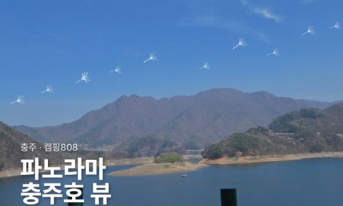 스티커