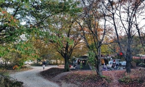 스티커