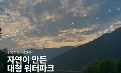 스티커