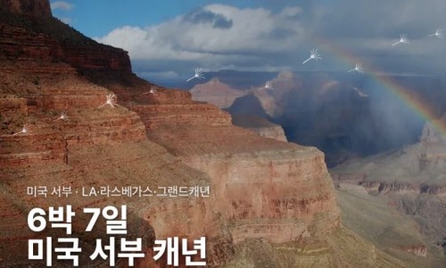 스티커