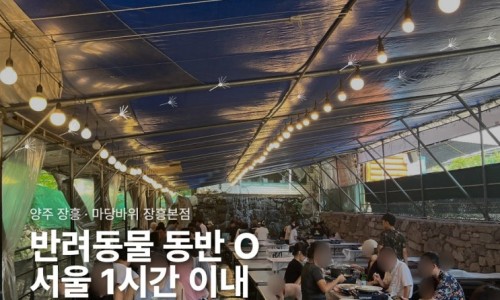 스티커