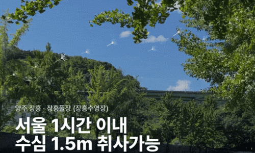 스티커