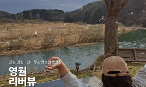 스티커