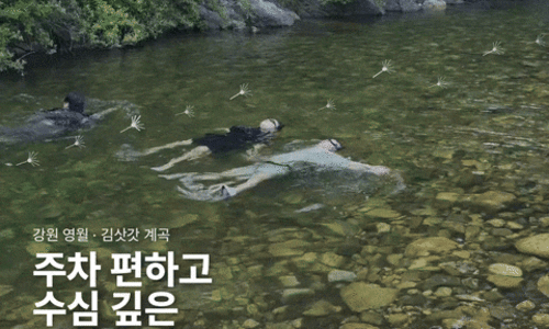 스티커